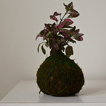 Mi proyecto del curso: Kokedamas: crea macetas naturales de musgo. Arts, Crafts, Interior Design, L, scape Architecture, Decoration, DIY, Floral, and Plant Design project by Susana Duran - 05.19.2022