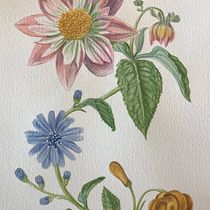 My project for course: Realistic Watercolor for Botanical Compositions. Un projet de Illustration traditionnelle, Peinture, Dessin, Aquarelle et Illustration botanique de Ingrid H - 15.05.2022
