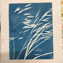 Mon projet du cours : Cyanotype : technique d'impression à la lumière. Un projet de Artisanat, Beaux Arts, Estampe, DIY , et Photographie argentique de florette04 - 19.05.2022