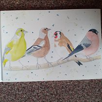 My project for course: Artistic Watercolor Techniques for Illustrating Birds. Traditional illustration, Watercolor Painting, Realistic Drawing, and Naturalistic Illustration project by helen2022 - 05.20.2022