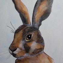 Mi proyecto del curso: Técnicas experimentales de acuarela para principiantes. Un progetto di Illustrazione tradizionale, Belle arti, Pittura ad acquerello e Illustrazione naturalistica di Julia Raggio - 13.06.2022