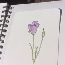 My project for course: Botanical Sketchbooking: A Meditative Approach. Ilustração tradicional, Esboçado, Desenho, Pintura em aquarela, Ilustração botânica, Sketchbook, e Pintura projeto de marylroberts - 20.05.2022
