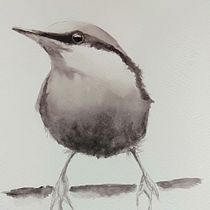 My project for course: Artistic Watercolor Techniques for Illustrating Birds. Traditional illustration, Watercolor Painting, Realistic Drawing, and Naturalistic Illustration project by johndoyle44 - 05.24.2022