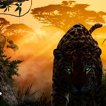 My project for course: Secrets of Photomontage and Creative Retouching. Photograph, Photograph, Post-production, VFX, Photo Retouching, Fine-Art Photograph, Photographic Composition, and Photomontage project by Simple Arith - 05.24.2022