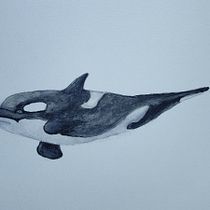 Mi proyecto del curso: Ilustración científica de animales en acuarela. Traditional illustration, Watercolor Painting, Realistic Drawing, and Naturalistic Illustration project by volmosg_bt - 05.24.2022