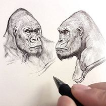 Mi proyecto del curso: Ilustración naturalista con bolígrafo. Traditional illustration, Drawing, Realistic Drawing, and Naturalistic Illustration project by Black Koverage - 02.27.2022