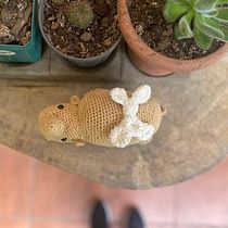 Mi proyecto del curso: Diseño y creación de amigurumis. Arts, Crafts, To, Design, Fiber Arts, DIY, Crochet, Amigurumi, and Textile Design project by pmromo1974 - 05.25.2022