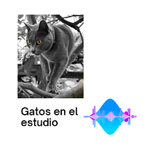 Mi proyecto del curso: Creación de un podcast desde cero. Un progetto di Marketing, Marketing digitale, Content marketing, Comunicazione, Podcasting e Audio di Judith Baro Guerrero - 26.05.2022