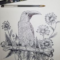 Mon projet du cours : Illustration naturaliste au stylo. Traditional illustration, Drawing, Realistic Drawing, and Naturalistic Illustration project by marie billebeau - 05.27.2022