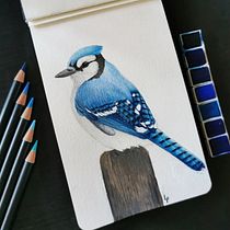 Mon projet du cours : Techniques artistiques d'aquarelle pour illustrer les oiseaux. Traditional illustration, Watercolor Painting, Realistic Drawing, and Naturalistic Illustration project by Lisa Poisse - 05.19.2022