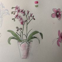 My project for course: Botanical Watercolor Sketchbook. Projekt z dziedziny Trad, c, jna ilustracja, Malowanie akwarelą, R, sunek botaniczn i Sketchbook użytkownika Cecilia Gustavsson - 28.05.2022