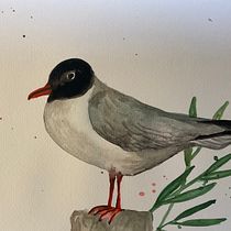 Mein Kursprojekt: Illustriere Vögel mit expressiven Aquarelltechniken. Traditional illustration, Watercolor Painting, Realistic Drawing, and Naturalistic Illustration project by nadinekarker - 05.28.2022