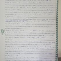 Mi proyecto del curso: Escritura de una novela paso a paso Ein Projekt aus dem Bereich Schrift, Kreativität, Erzählung, Literarisches schreiben und Kreatives Schreiben von ivanmarchesin10 - 28.05.2022