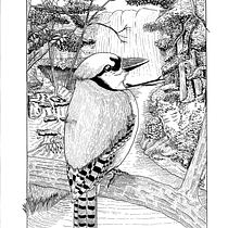 Mi proyecto del curso: Ilustración con tinta y plumilla: captura el mundo natural . % Alejandro Arturo Villeda Vázquez tarafından hazırlanan Eskiz çizimi, Çizim, Sanatsal Çizim, Eskiz defteri, Mürekkep İllüstras, onu, Doğalcı İllüstras, Ve on projesi - 06.01.2022