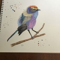 My project for course: Artistic Watercolor Techniques for Illustrating Birds. Traditional illustration, Watercolor Painting, Realistic Drawing, and Naturalistic Illustration project by childscheryl - 05.31.2022
