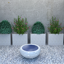 Mi proyecto del curso: Diseño de espacios verdes para tu casa. L, scape Architecture, Floral, Plant Design, and Spatial Design project by ps_erikadiaz - 06.01.2022
