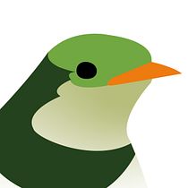 Aves argentinas. Ilustração tradicional, e Design gráfico projeto de Victoria Salvarani - 29.05.2022