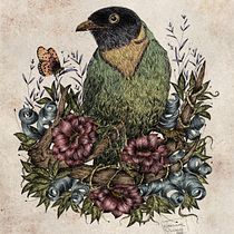 Illustrazione naturalistica a penna: fruttaio pettarancio - orange breasted fruiteater . Traditional illustration, Drawing, Realistic Drawing, and Naturalistic Illustration project by Rossana Ghiani - 06.03.2022