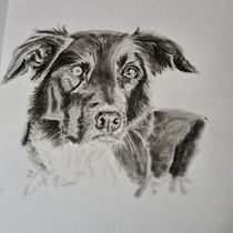 My project for course: Artistic Charcoal Portraiture: Creating Atmosphere. Ilustração tradicional, Artes plásticas, Desenho, Desenho de retrato, Desenho realista, e Desenho artístico projeto de suemackenzie186 - 03.06.2022