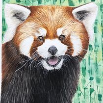 Meu projeto do curso: Retratos expressivos de animais em aquarela. Un projet de Illustration traditionnelle, Aquarelle, Dessin réaliste et Illustration naturaliste de CAMILA OLIVEIRA - 04.06.2022