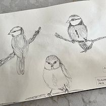 Mein Kursprojekt: Tägliches Sketching für kreative Inspiration. Traditional illustration, Creativit, Drawing, and Sketchbook project by Beate Heinzelmann - 06.04.2022