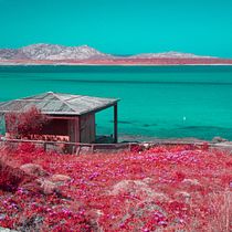 My project for course: Infrared Photography: Capture the World of the Invisible. Photograph, Photo Retouching, Digital Photograph, Outdoor Photograph, Architectural Photograph, and Color Theor project by Silvia Napolitano - 06.05.2022