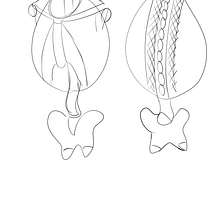 Mi proyecto del curso: Dibujo anatómico de extremidades, manos y pies. Un projet de Beaux Arts, Esquisse , Dessin au cra, on, Dessin, Dessin de portrait, Dessin réaliste, Dessin artistique, Carnet de croquis, Dessin anatomique et Illustration à l'encre de Lucas Luna - 05.06.2022