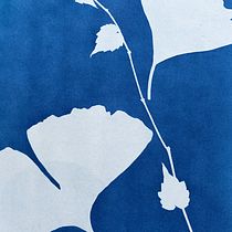 My project for course: Cyanotype: Printing with Light. Un projet de Artisanat, Beaux Arts, Estampe, DIY , et Photographie argentique de Veronica Lam - 01.06.2022