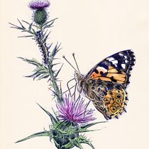 My project for course: Naturalist Illustration with Ballpoint Pen . Traditional illustration, Drawing, Realistic Drawing, and Naturalistic Illustration project by brittawagner - 06.06.2022