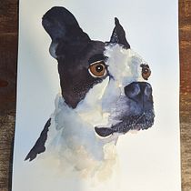 Mon projet du cours : Techniques expérimentales d’aquarelle pour débutants. Un progetto di Illustrazione tradizionale, Belle arti, Pittura ad acquerello e Illustrazione naturalistica di Mélissa Côté - 01.06.2022