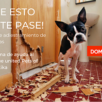 Mi proyecto del curso: Creatividad publicitaria para todos los públicos. Publicidade, Consultoria criativa, Marketing, e Criatividade projeto de Javier Escalante - 07.06.2022