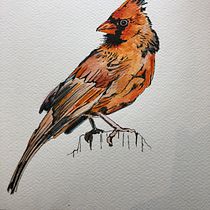 My project for course: Artistic Watercolor Techniques for Illustrating Birds. Traditional illustration, Watercolor Painting, Realistic Drawing, and Naturalistic Illustration project by milinew1 - 06.05.2022
