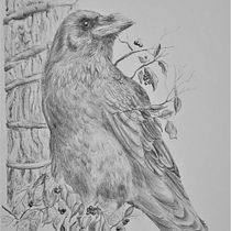 My project for course: Dip Pen and Ink Illustration: Capturing The Natural World . % Harper Court tarafından hazırlanan Eskiz çizimi, Çizim, Sanatsal Çizim, Eskiz defteri, Mürekkep İllüstras, onu, Doğalcı İllüstras, Ve on projesi - 06.09.2022