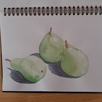 My project for course: Illustrating Nature: A Creative Exploration. Un projet de Illustration traditionnelle, Peinture, Dessin, Aquarelle, Illustration à l'encre et Illustration naturaliste de helen2022 - 09.06.2022