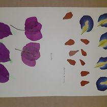 Mi proyecto del curso: Técnicas básicas de prensado botánico. Arts, Crafts, Fine Arts, Collage, DIY, Floral, and Plant Design project by lorian03 - 06.09.2022