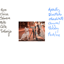Mi proyecto del curso: Diseño gráfico para principiantes. Un progetto di Design, Br, ing, Br, identit, Graphic design, Tipografia, Design di loghi e Design tipografico di Bernardo Mañas - 10.06.2022