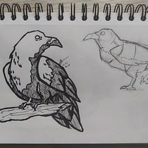 My project for course: Daily Sketching for Creative Inspiration. Traditional illustration, Sketching, Creativit, Drawing, and Sketchbook project by Andżelika Madeła - 06.12.2022