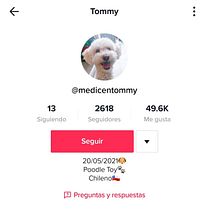 Mi proyecto del curso: Introducción a TikTok para creativos. Un proyecto de Fotografía, Marketing, Redes Sociales, Marketing Digital, Marketing de contenidos, Comunicación, Fotografía Lifest y le de Milagro Añez - 12.06.2022