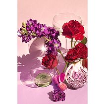 Retro Flower Therapy . Product Photograph, Fine-Art Photograph, Lifest, and le Photograph project by nicowilliamsdesign - 06.08.2022