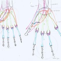 Portafolio: Estudio de extremidades.. Un proyecto de Bellas Artes, Bocetado, Dibujo a lápiz, Dibujo, Dibujo de Retrato, Dibujo realista, Dibujo artístico, Sketchbook, Dibujo anatómico e Ilustración con tinta de marymad - 13.06.2022