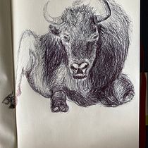 Mi proyecto del curso: Ilustración en sketchbook con bolígrafo: disfruta dibujando. Esboçado, Desenho, Sketchbook e Ilustração com tinta projeto de Palinkas Cecilia - 13.06.2022