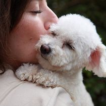 Meu projeto do curso: Fotografia lifestyle de cachorros. Un projet de Photographie, Photographie de portrait, Photographie pour Instagram, Photographie documentaire, Photographie lifest , et le de Pamella Paula Souza - 11.06.2022