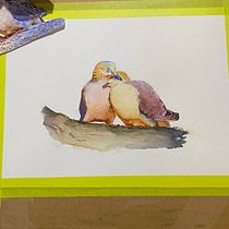 My project for course: Artistic Watercolor Techniques for Illustrating Birds. Traditional illustration, Watercolor Painting, Realistic Drawing, and Naturalistic Illustration project by Geordie Jones - 06.13.2022