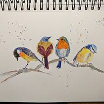 My project for course: Artistic Watercolor Techniques for Illustrating Birds. Traditional illustration, Watercolor Painting, Realistic Drawing, and Naturalistic Illustration project by anja177 - 06.15.2022