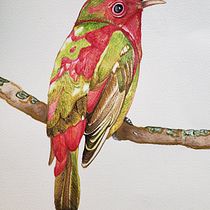Mi proyecto del curso: Ilustración naturalista de aves con acuarela. Ilustração tradicional, Pintura em aquarela, Desenho realista e Ilustração naturalista projeto de Pepita Mendieta - 15.06.2022