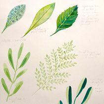 Mi proyecto del curso: Técnicas aplicadas de ilustración en acuarela. Un progetto di Illustrazione tradizionale, Belle arti, Pittura e Pittura ad acquerello di Yamileh Ramírez - 16.06.2022