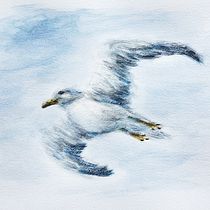 Seagull Jonathan Livingston (Watercolor painting). Traditional illustration, Watercolor Painting, and Naturalistic Illustration project by miro_pobox - 05.16.2022