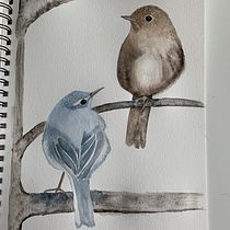 My project for course: Artistic Watercolor Techniques for Illustrating Birds. Traditional illustration, Watercolor Painting, Realistic Drawing, and Naturalistic Illustration project by corinawaage - 06.18.2022