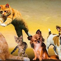 Animais que eu amo. Writing, Stor, telling, Children's Illustration, Creating with Kids, Narrative, Fiction Writing, Creative Writing, and Children's Literature project by margaridatl - 06.13.2022