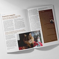 Meu projeto do curso: Fundamentos da tipografia de A a Z. Art Direction, Editorial Design, Graphic Design, T, pograph, and Web Design project by Martha Oliveira - 06.18.2022